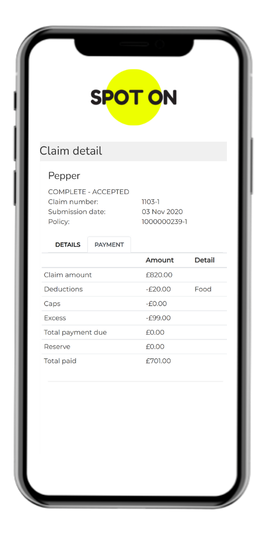 View claim payment details